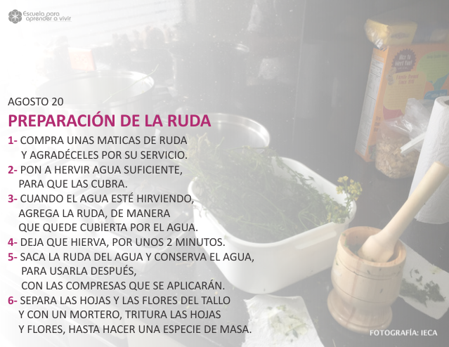 Preparación de la ruda
